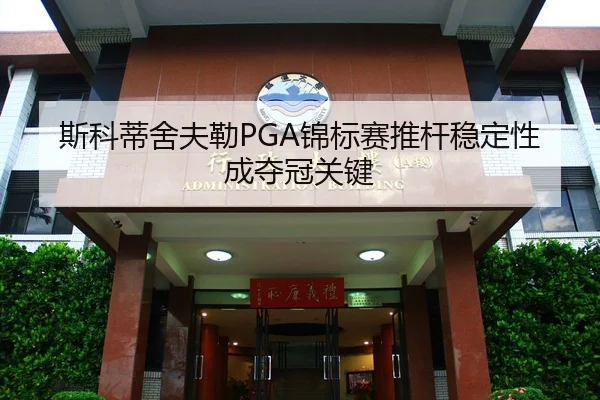 si-ke-di-she-fu-lei-jin-biao-sai-tui-gan-wen-ding-xing-cheng-duo-guan-guan-jian-3-662.jpg