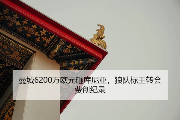 man-cheng-wan-ou-yuan-za-ku-ni-ya-lang-dui-biao-wang-zhuan-hui-fei-chuang-ji-lu-2-800.jpg