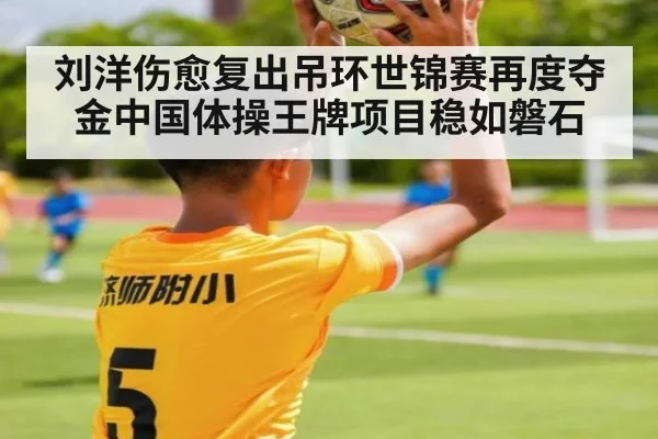 刘洋伤愈复出吊环世锦赛再度夺金中国体操王牌项目稳如磐石