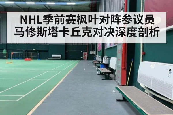 NHL季前赛枫叶对阵参议员 马修斯塔卡丘克对决深度剖析
